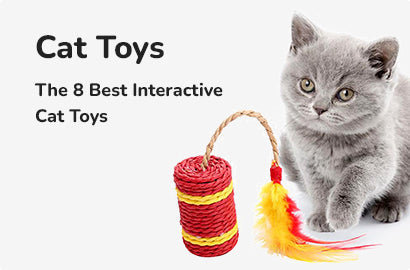 Cat Toys